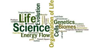Life Science